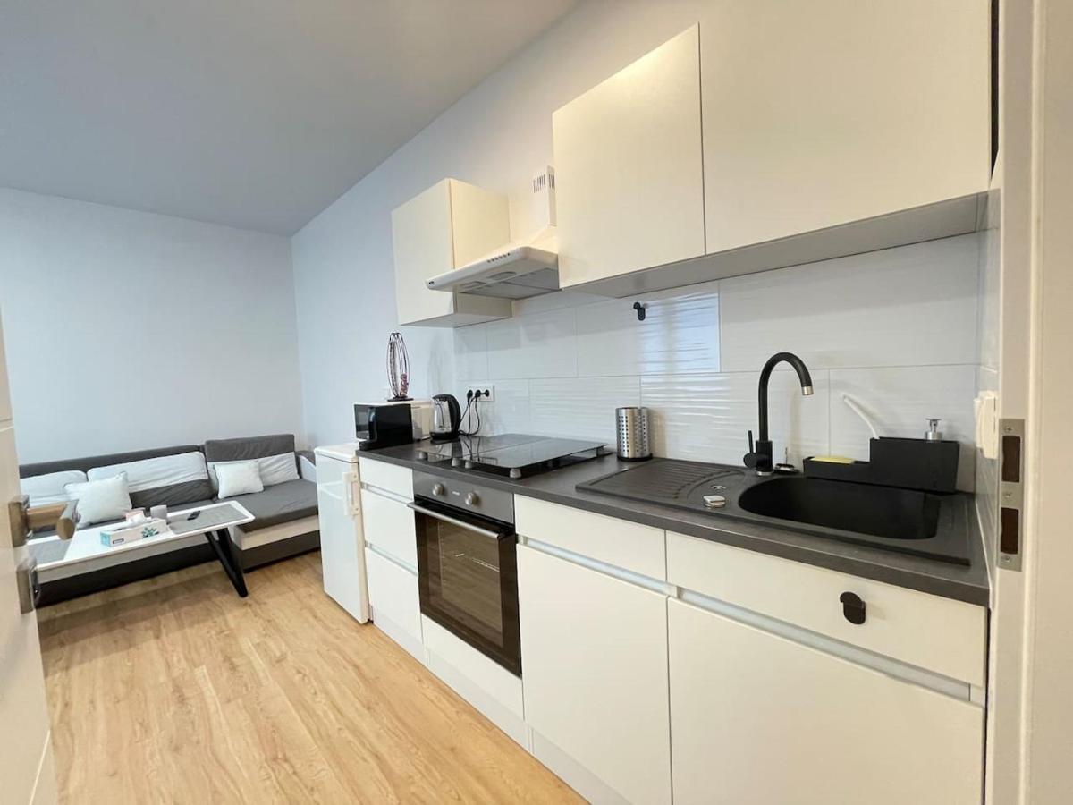 Apartment Zrekonstruovany 1kk V Centru Liberce *