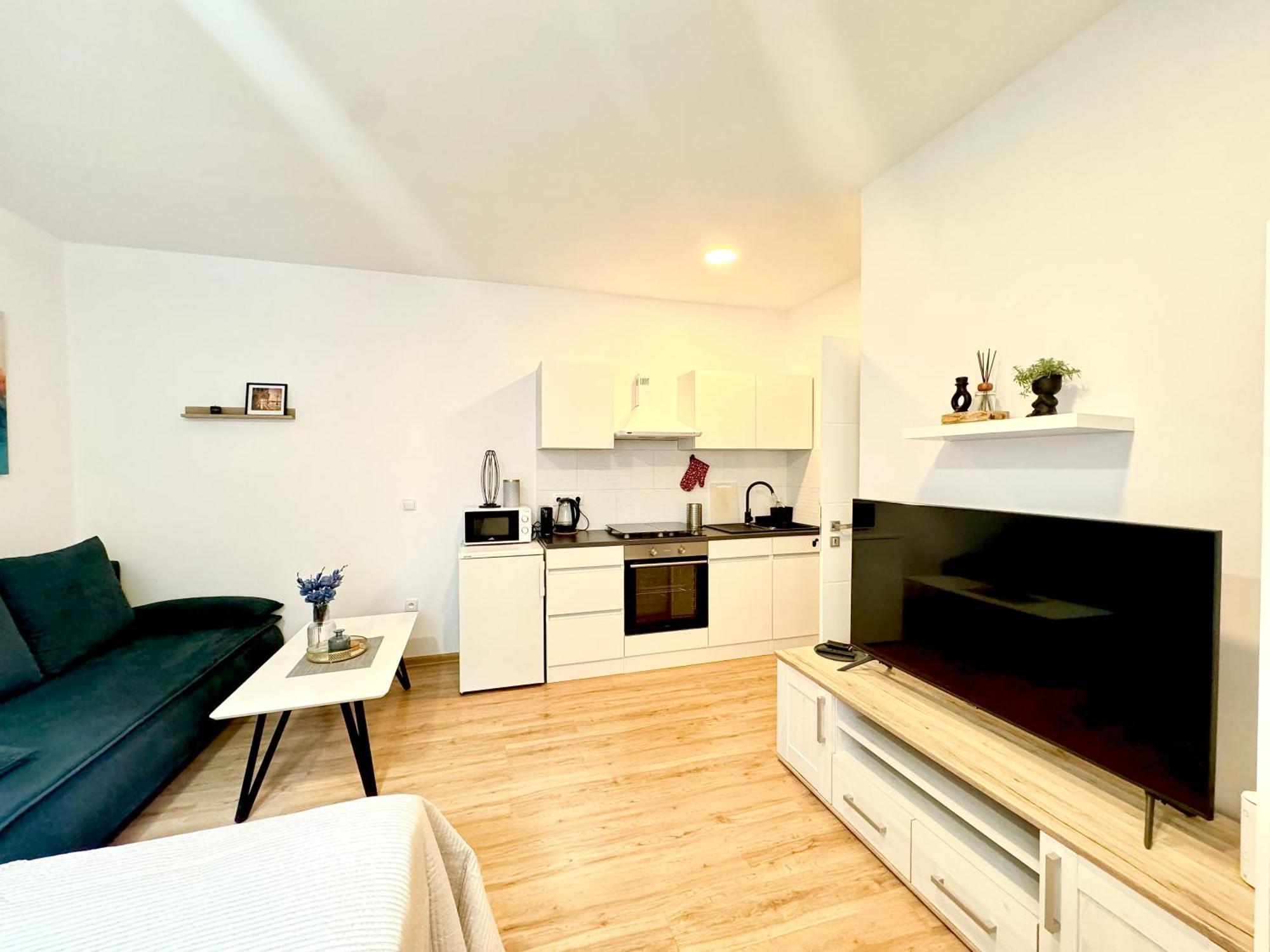 Apartment Zrekonstruovany 1kk V Centru Liberce Liberec