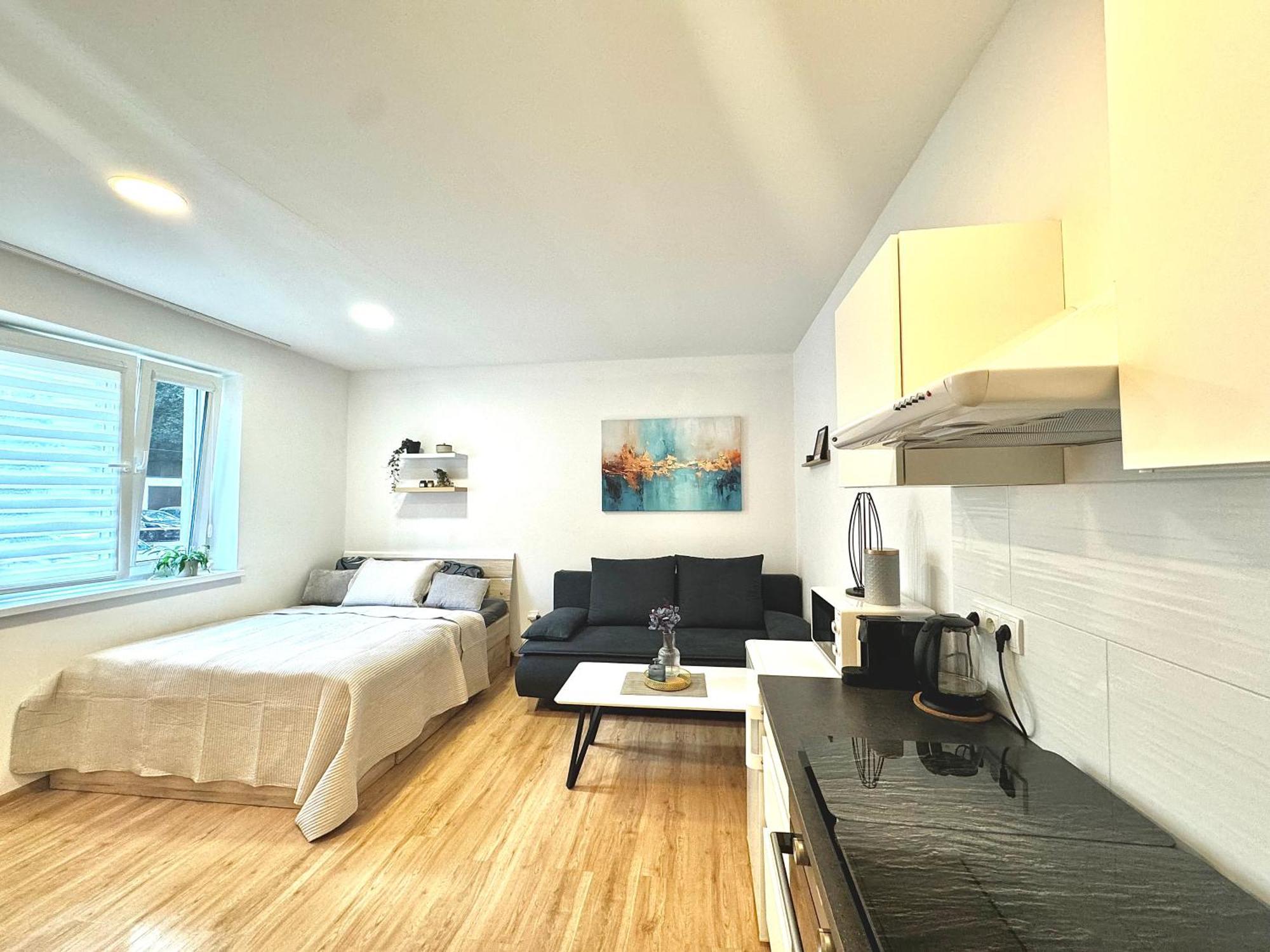 Apartment Zrekonstruovany 1kk V Centru Liberce Liberec