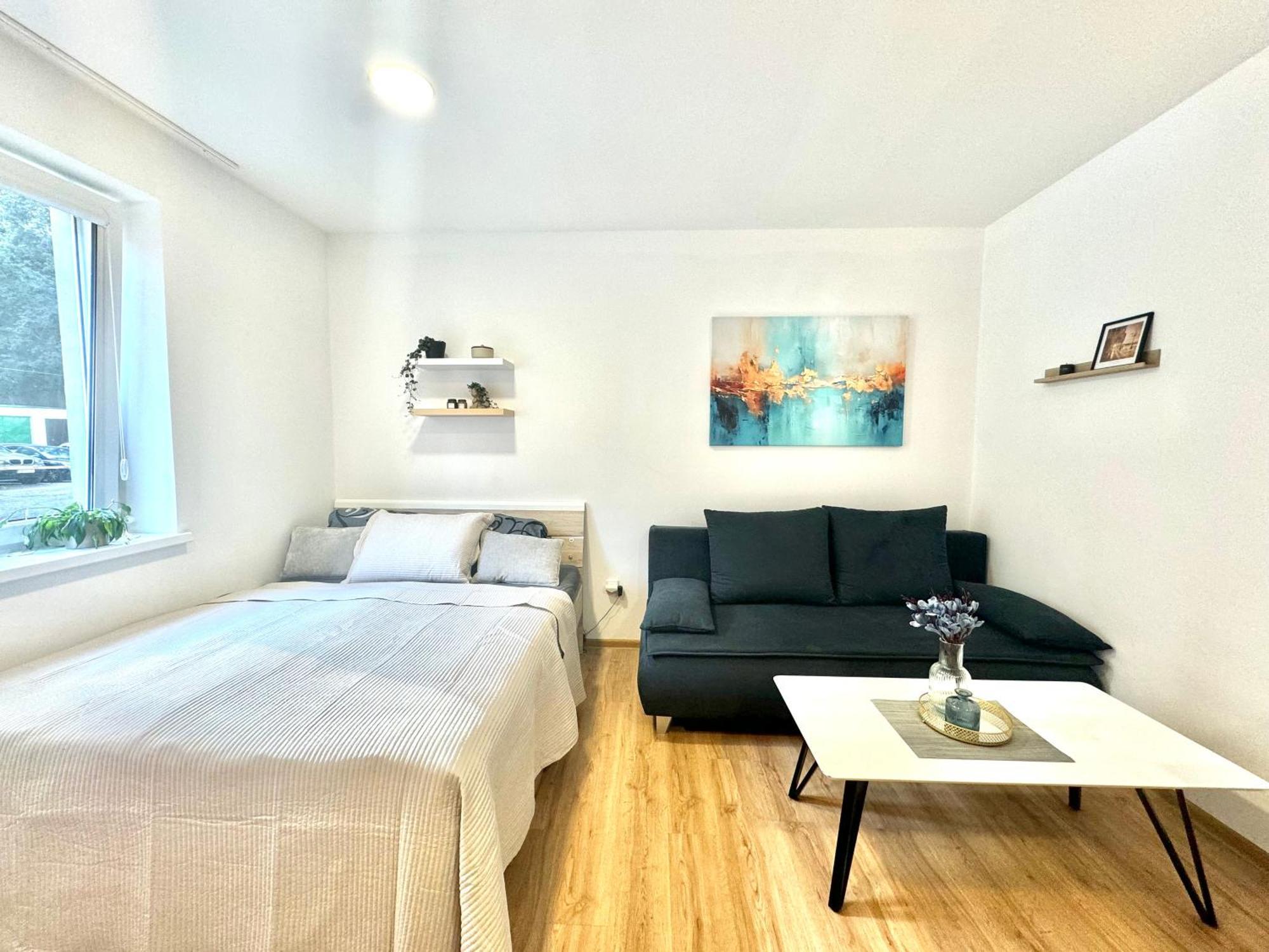 Apartmán Zrekonstruovany 1kk V Centru Liberce